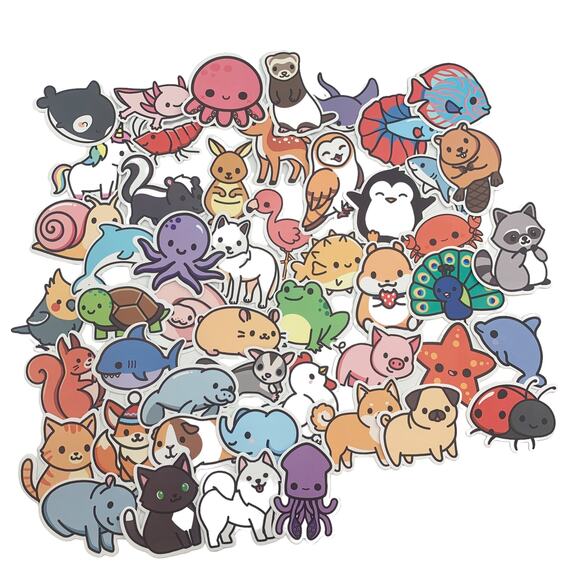 Welcome - Picture 2 of 6